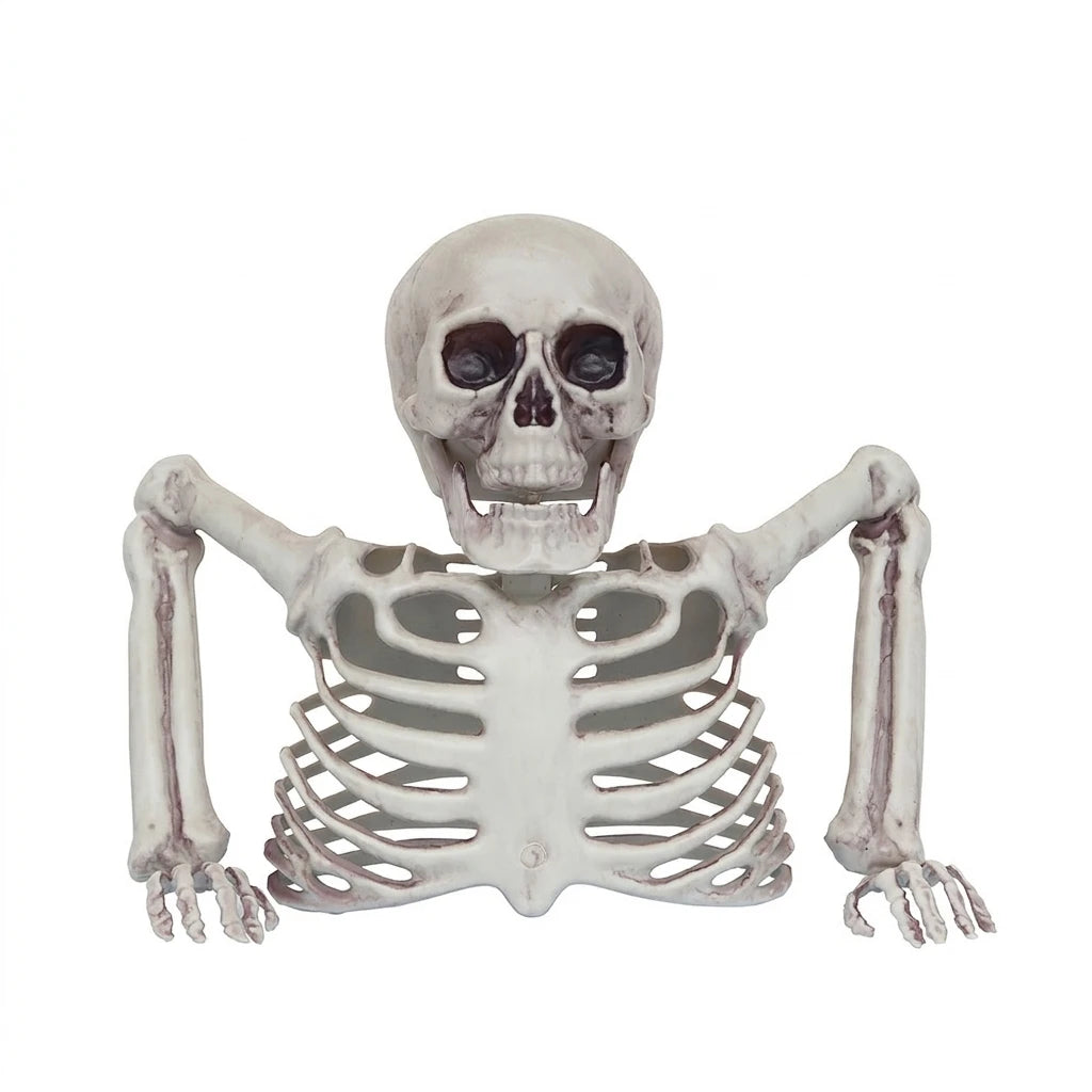 Halloween Realistic Skeleton Ornament with Movable Joints