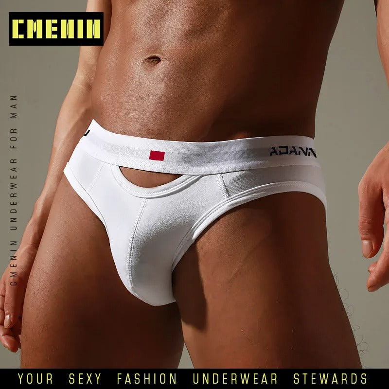 Cotton Sexy Gay Men Underwear Bikini Men Briefs Soft Men's Printed Briefs Underwear