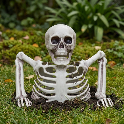 Halloween Realistic Skeleton Ornament with Movable Joints