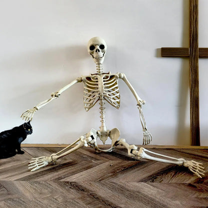 Halloween Realistic Body Bones Life Size Human Skeleton With Posable Joints S