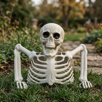 Halloween Realistic Skeleton Ornament with Movable Joints