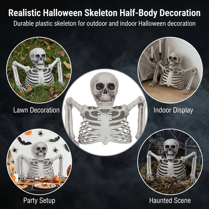 Halloween Realistic Skeleton Ornament with Movable Joints