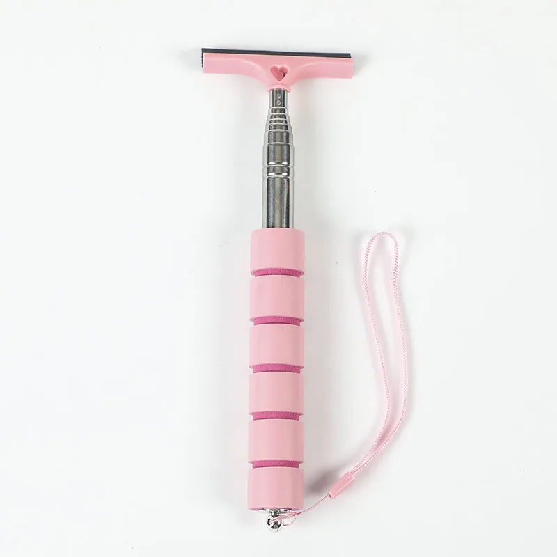 Car Rearview Mirror Wiper Cleaning Tool Auto Glass Mist Cleaner Scraper