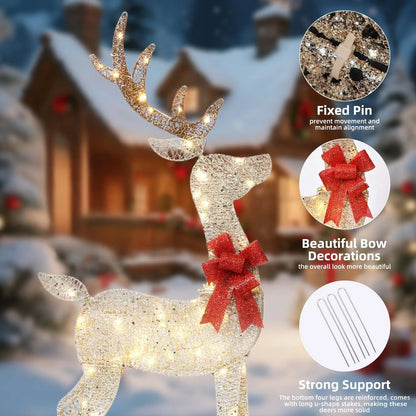 Deer Family Illuminated Christmas Decorations 3 Piece Set 2.5D Christmas Theme with 145 LED Lights