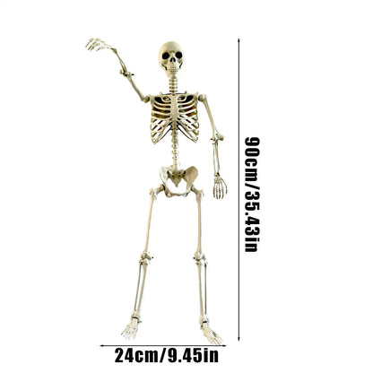 Halloween Realistic Body Bones Life Size Human Skeleton With Posable Joints S