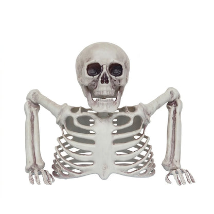 Halloween Realistic Skeleton Ornament with Movable Joints