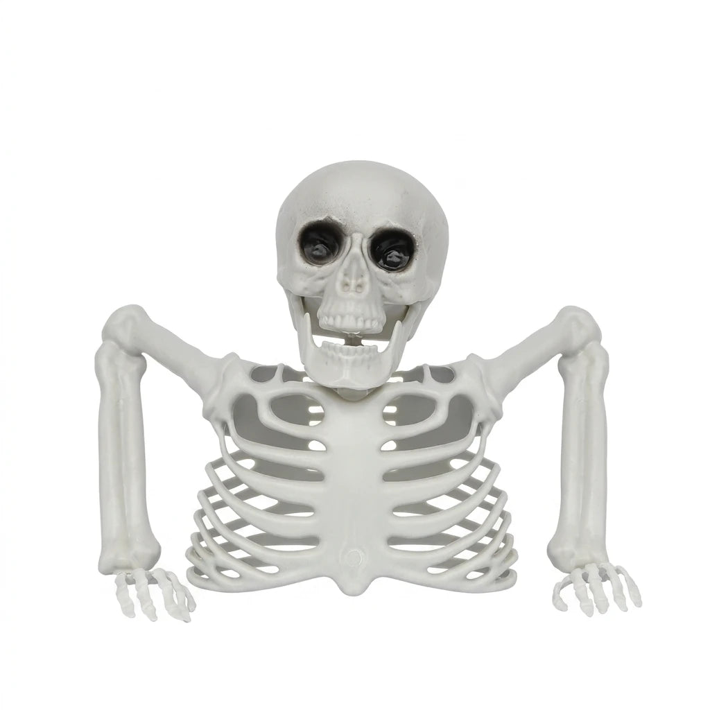 Halloween Realistic Skeleton Ornament with Movable Joints