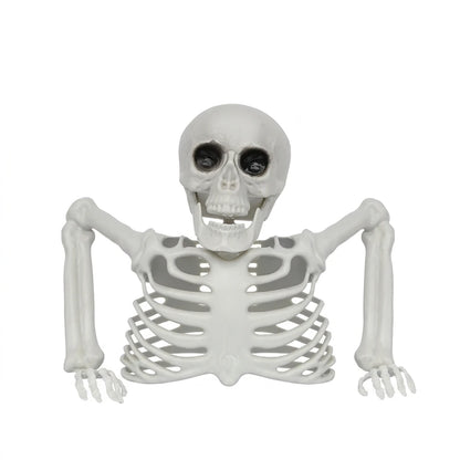 Halloween Realistic Skeleton Ornament with Movable Joints