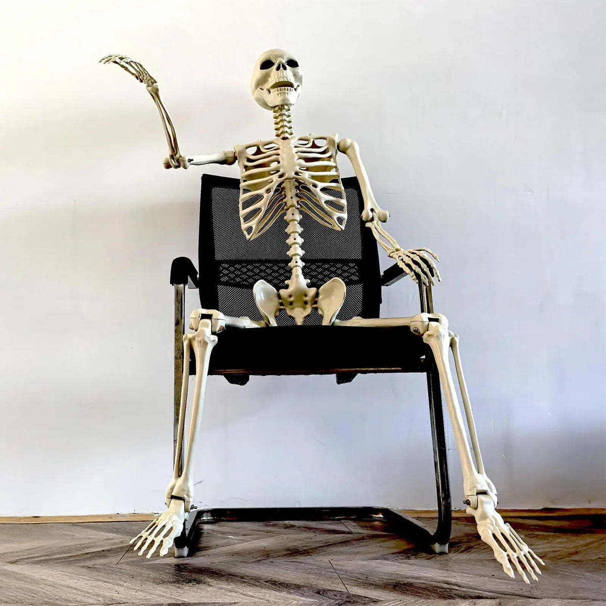 Halloween Realistic Body Bones Life Size Human Skeleton With Posable Joints S