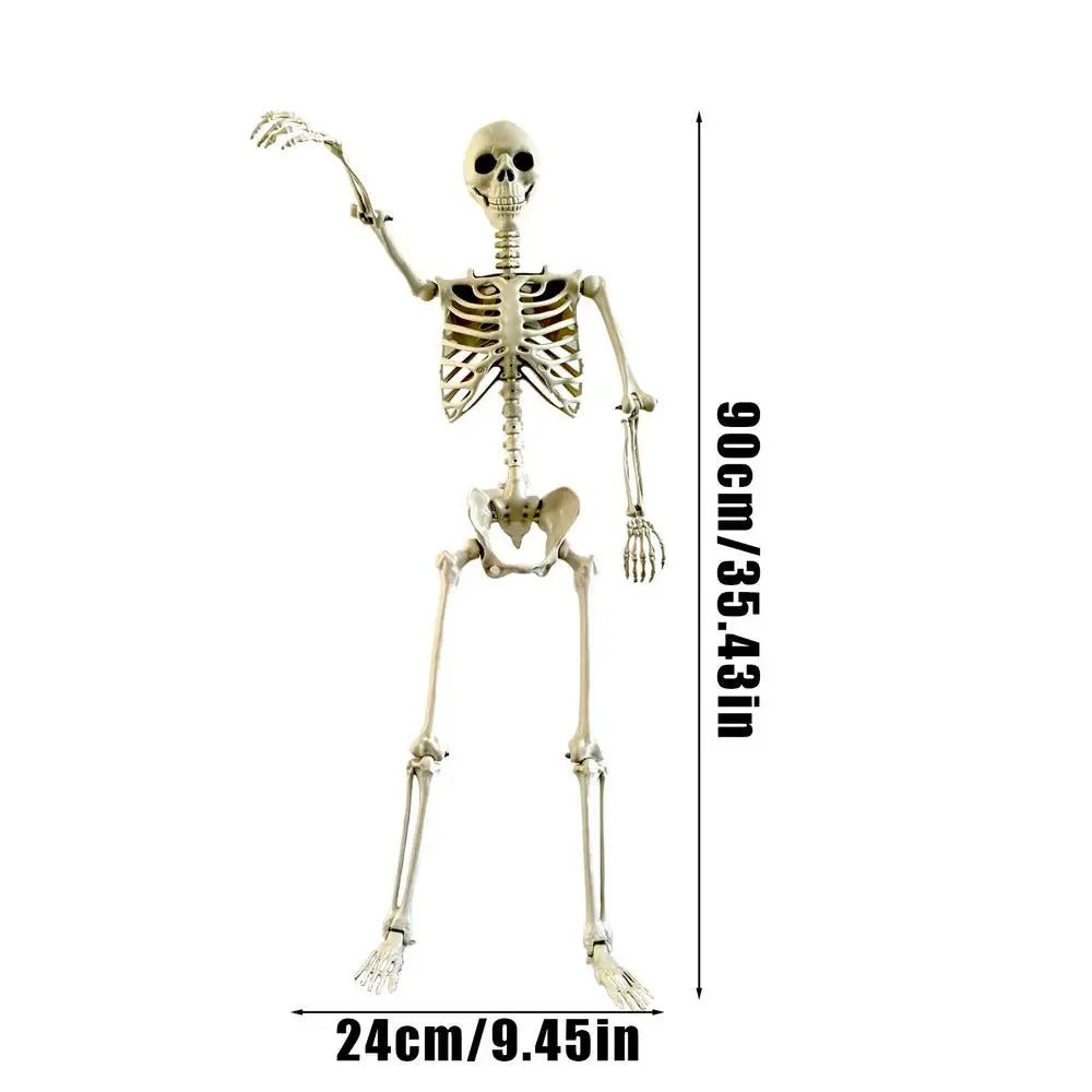 Halloween Realistic Body Bones Life Size Human Skeleton With Posable Joints S