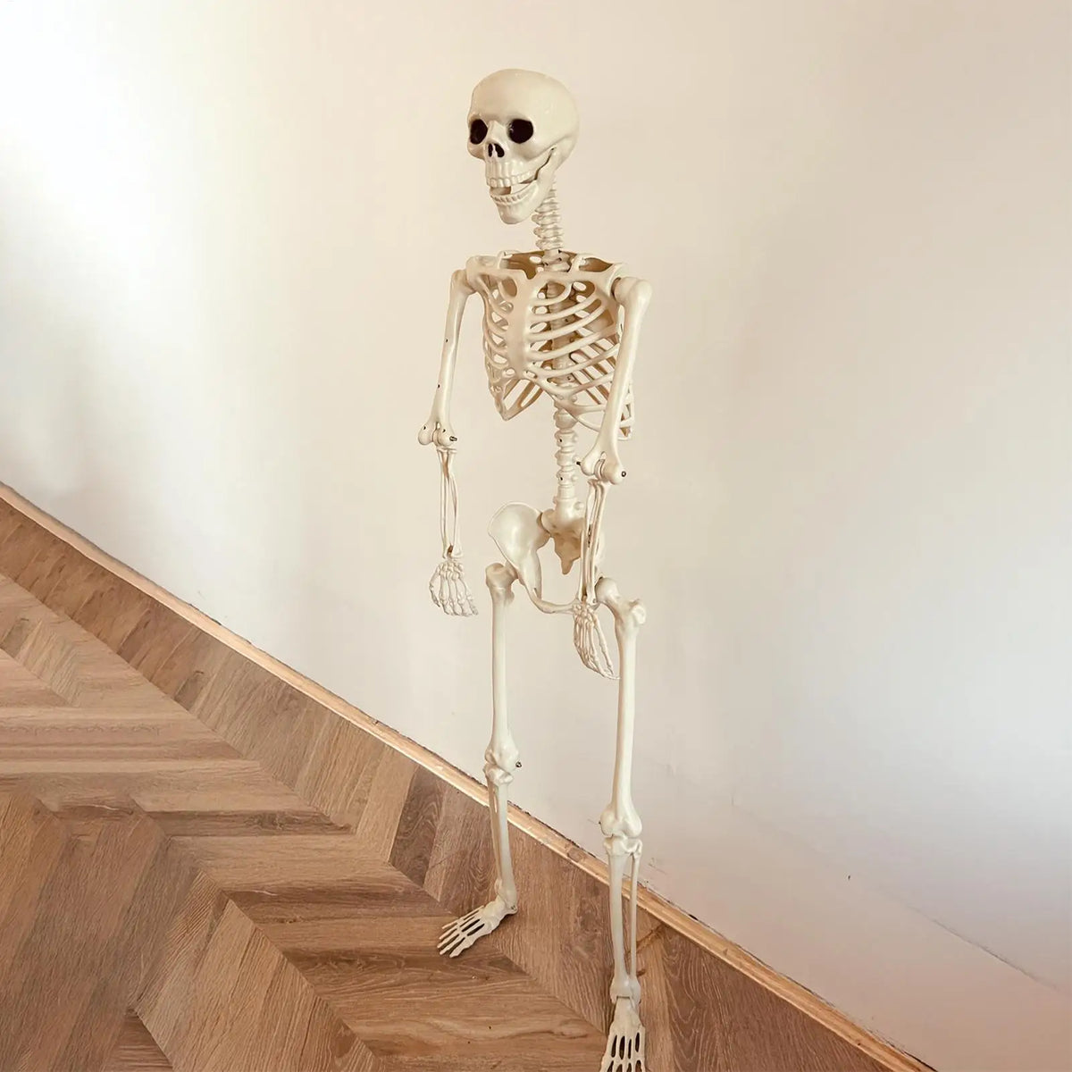 Halloween Realistic Body Bones Life Size Human Skeleton With Posable Joints S