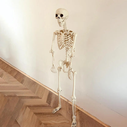 Halloween Realistic Body Bones Life Size Human Skeleton With Posable Joints S