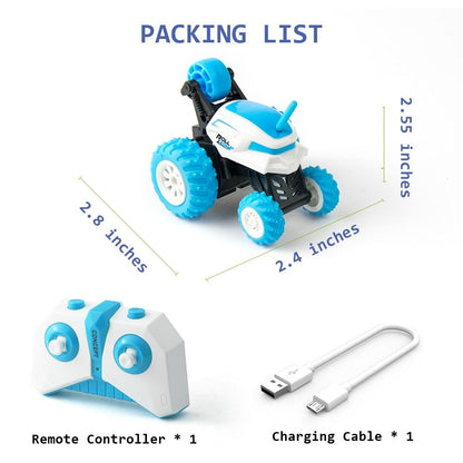 Electric Drift Buggy Car with RC